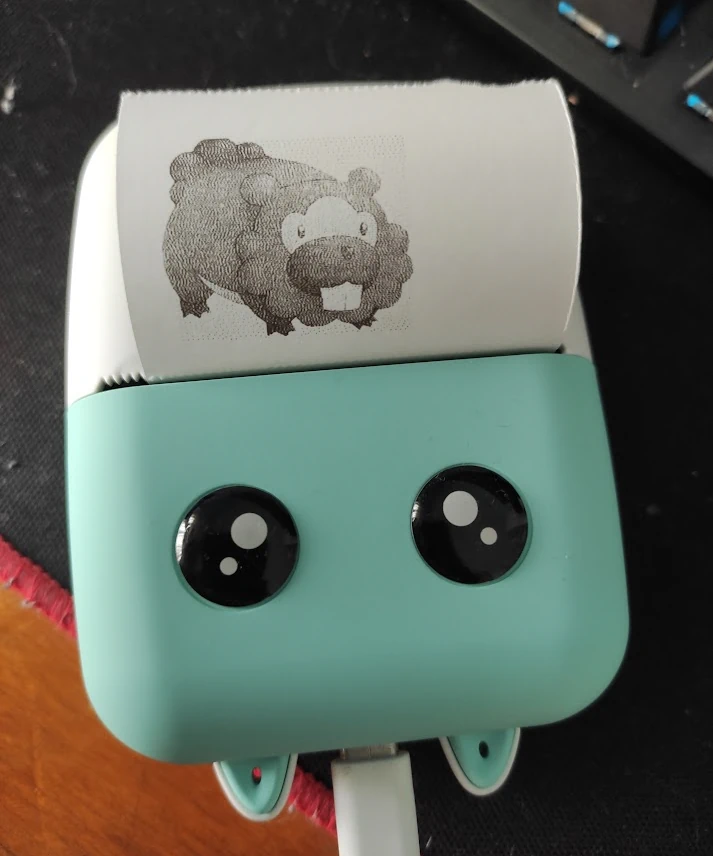 a picture of a cheap chinese thermal printer with a bit of paper sticking out, on it is a grayscale picture of the Pokémon called Bidoof